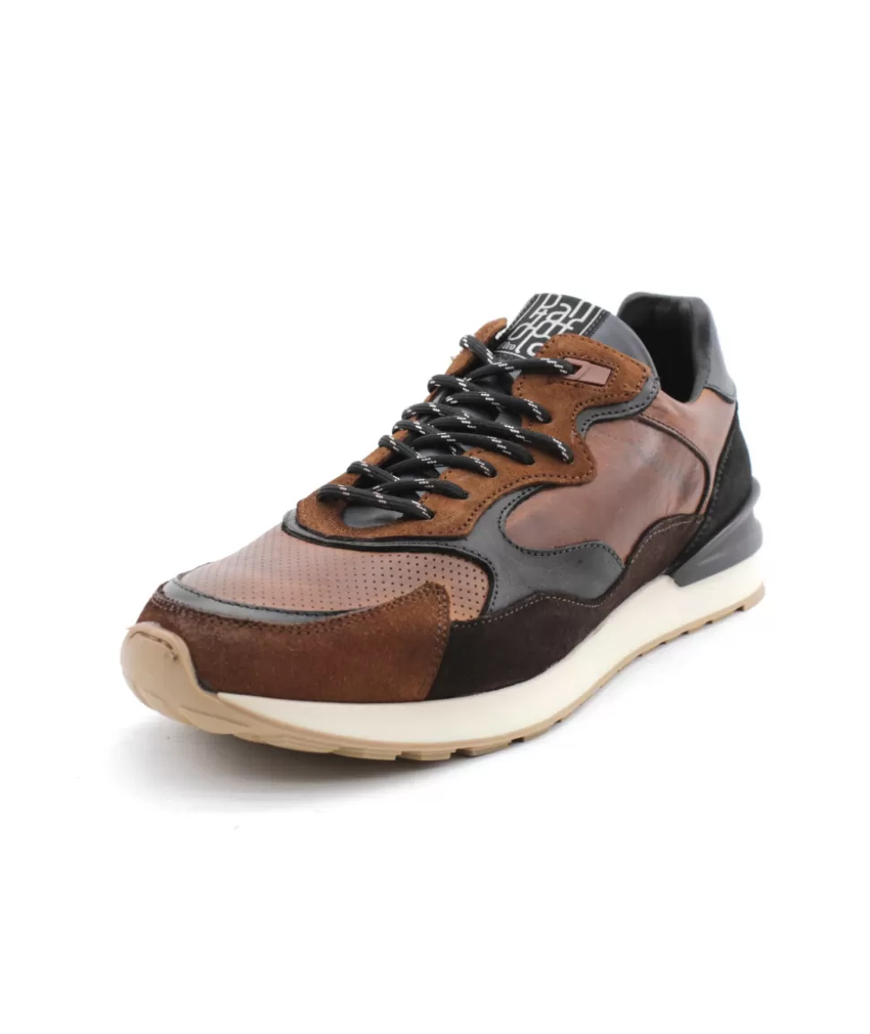 Treviso Runner Uomo Low | pantofola d'oro Best Sale