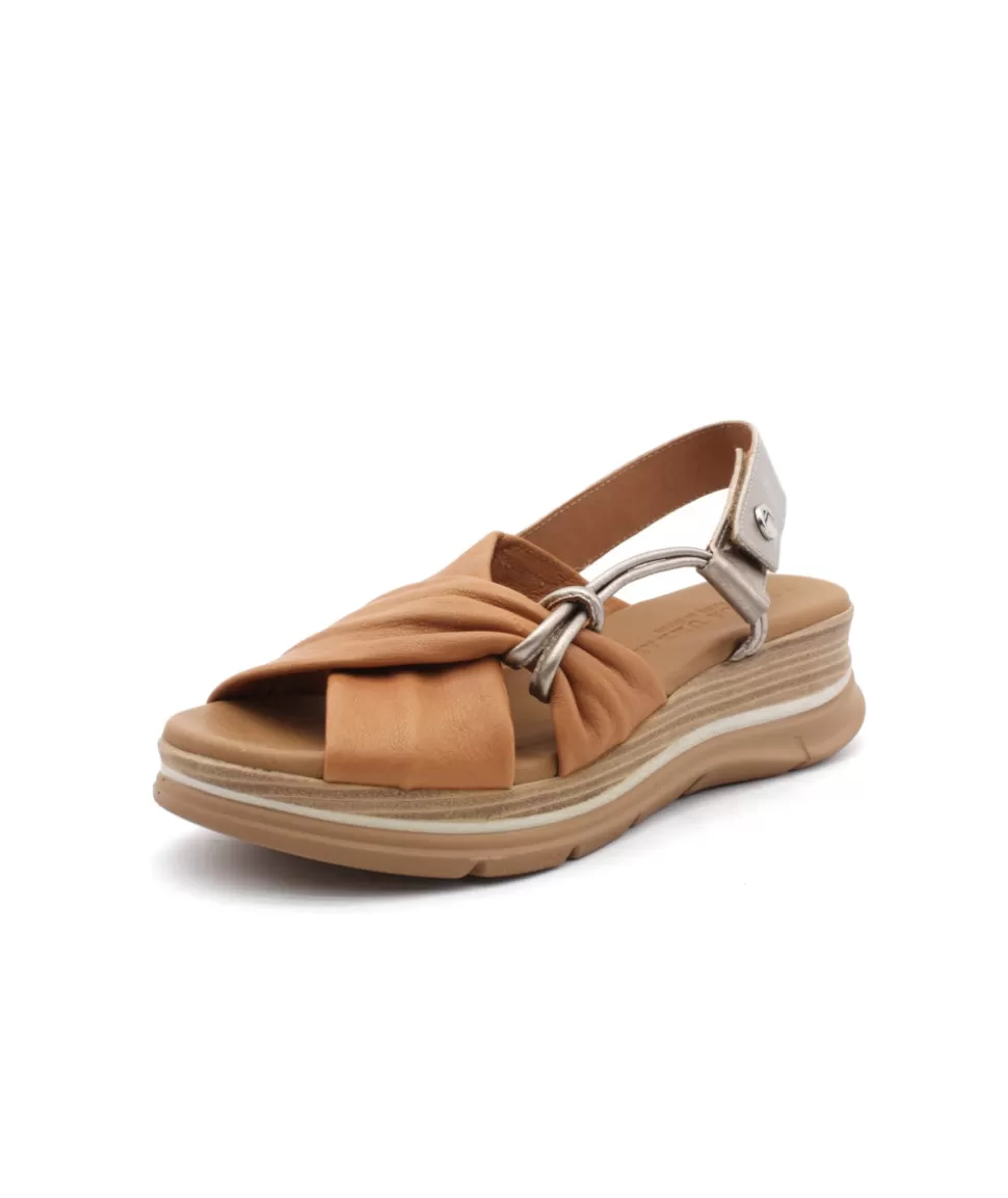 24-416 Sunset | paula urban Store