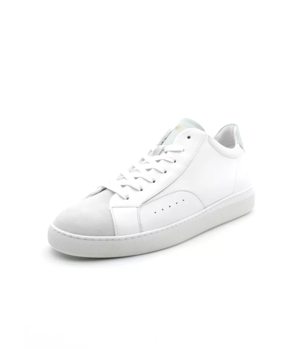 Clear Sneaker | schmoove Shop