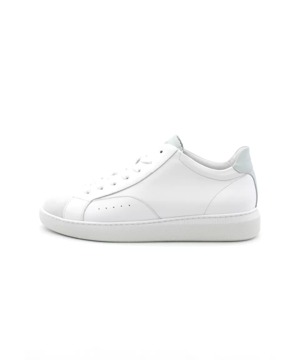 Clear Sneaker | schmoove Shop